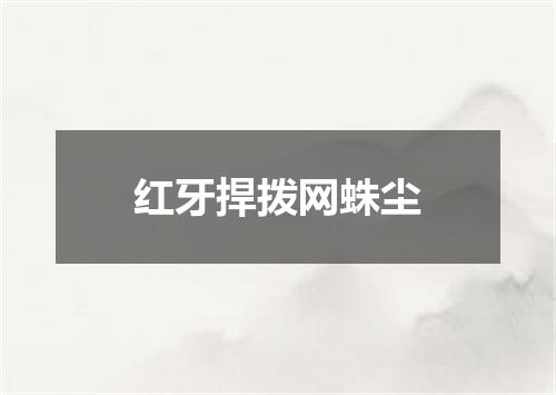 红牙捍拨网蛛尘