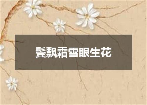 鬓飘霜雪眼生花