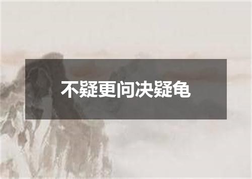 不疑更问决疑龟