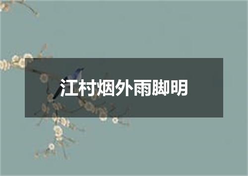 江村烟外雨脚明