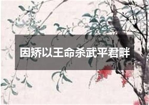 因矫以王命杀武平君畔