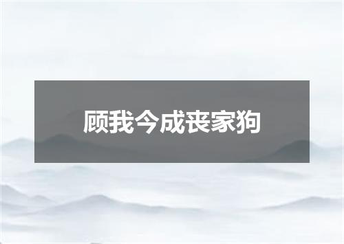 顾我今成丧家狗
