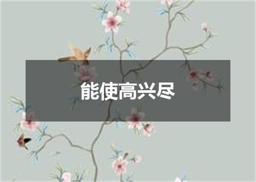 能使高兴尽