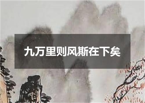 九万里则风斯在下矣