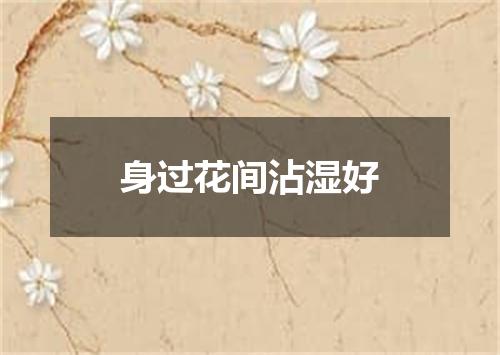 身过花间沾湿好