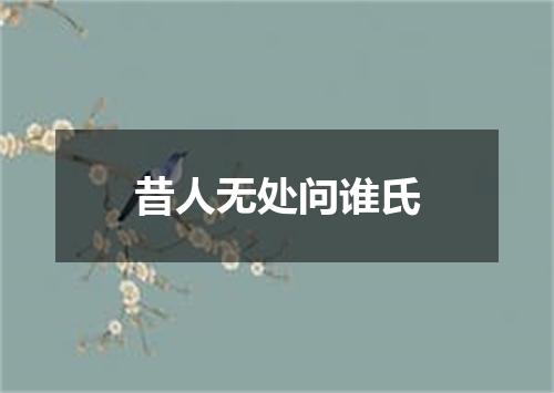昔人无处问谁氏