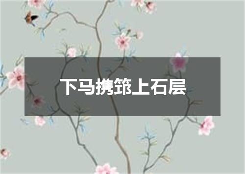 下马携筇上石层