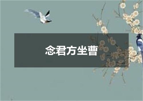 念君方坐曹