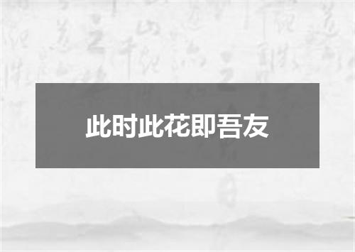 此时此花即吾友