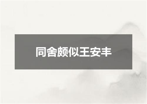 同舍颇似王安丰
