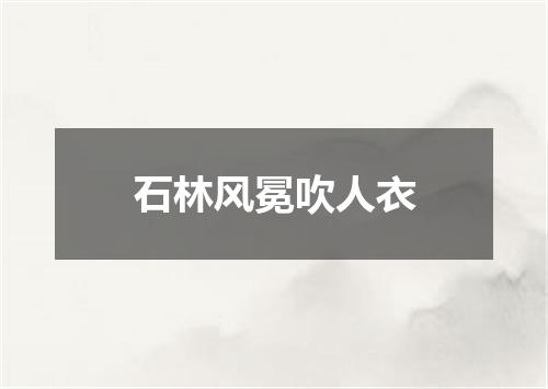 石林风冕吹人衣