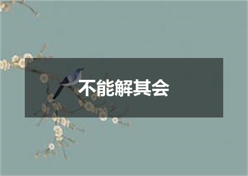 不能解其会