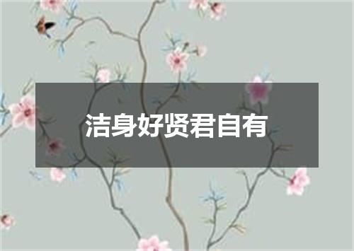 洁身好贤君自有