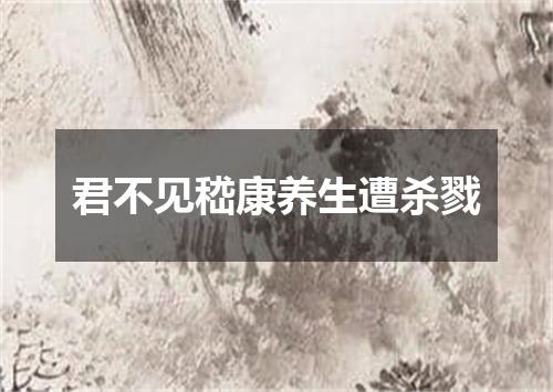 君不见嵇康养生遭杀戮