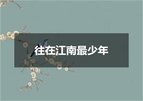 往在江南最少年