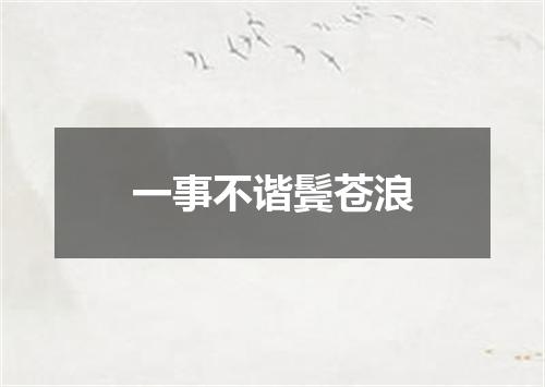 一事不谐鬓苍浪