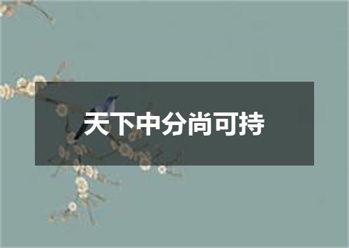 天下中分尚可持