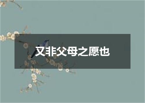 又非父母之愿也