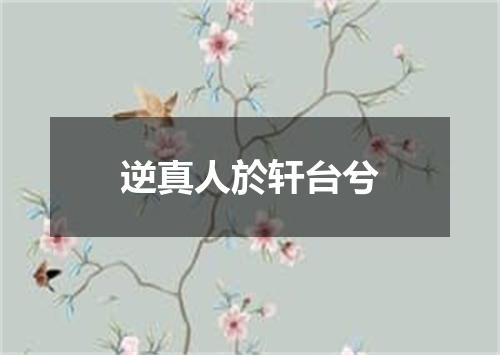 逆真人於轩台兮