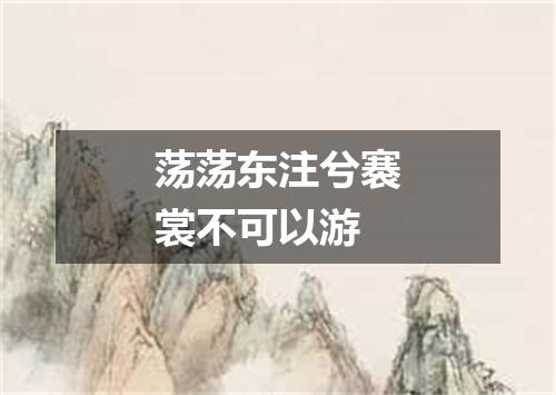 荡荡东注兮褰裳不可以游