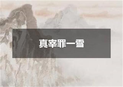 真宰罪一雪