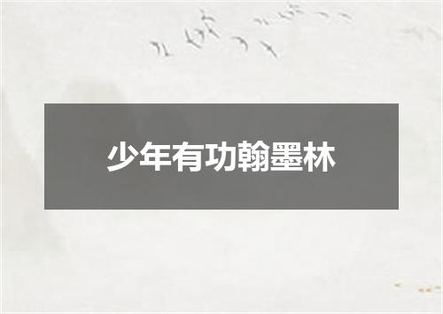 少年有功翰墨林