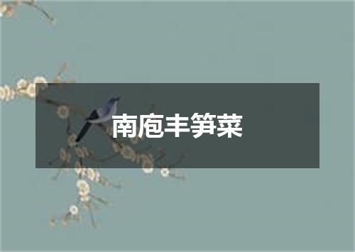 南庖丰笋菜