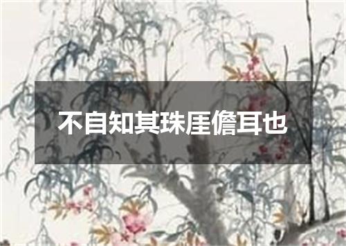 不自知其珠厓儋耳也