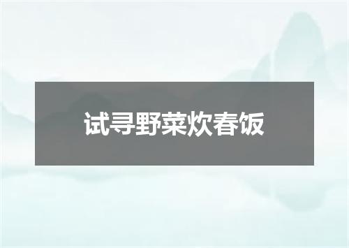 试寻野菜炊春饭