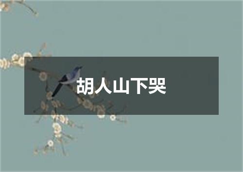 胡人山下哭