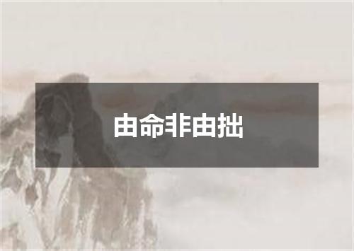 由命非由拙