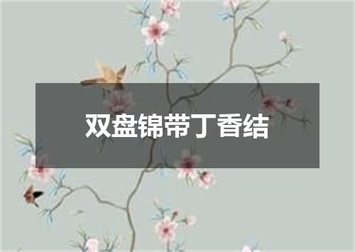 双盘锦带丁香结