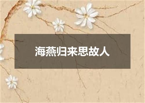 海燕归来思故人