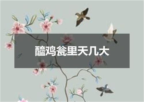 醯鸡瓮里天几大