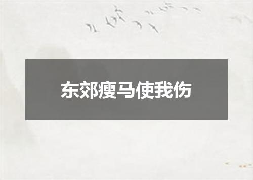 东郊瘦马使我伤
