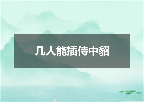 几人能插侍中貂