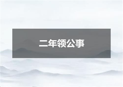 二年领公事