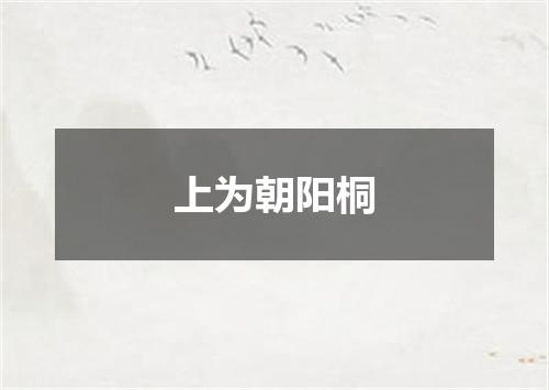 上为朝阳桐