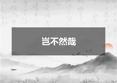 岂不然哉