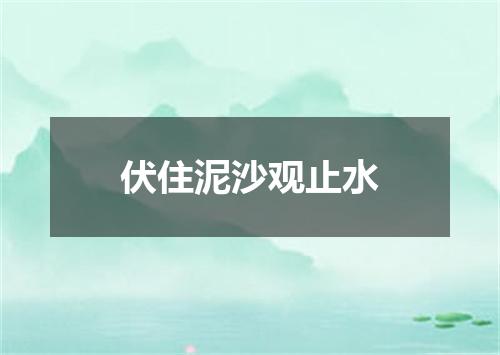 伏住泥沙观止水