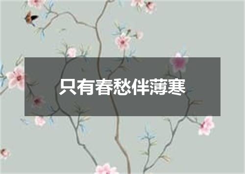 只有春愁伴薄寒