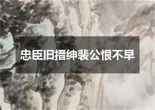 忠臣旧搢绅裴公恨不早