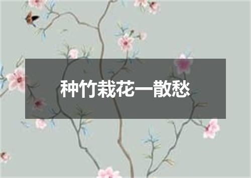种竹栽花一散愁