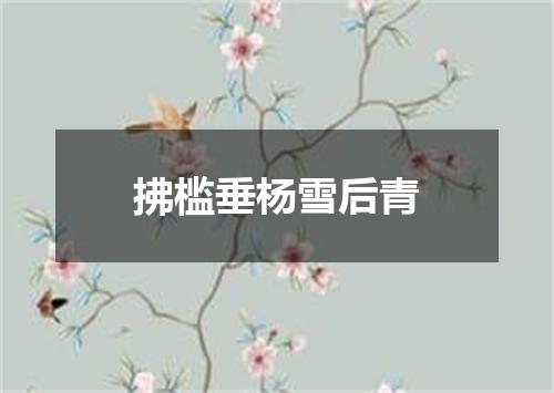 拂槛垂杨雪后青