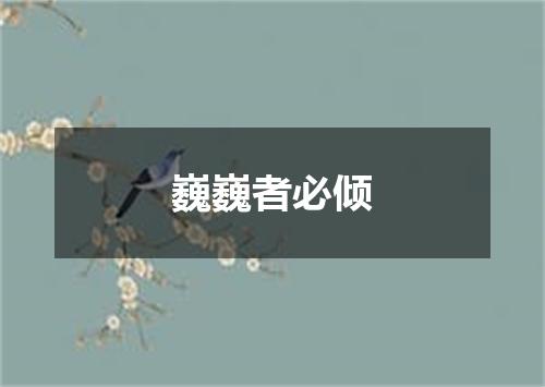 巍巍者必倾