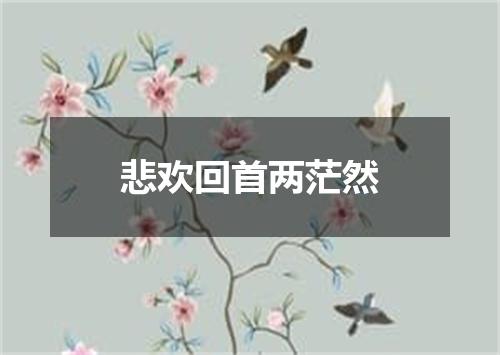 悲欢回首两茫然