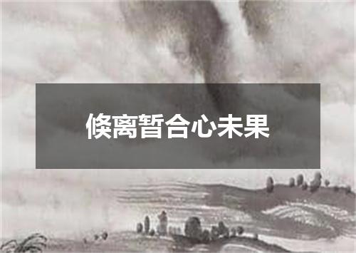 倏离暂合心未果