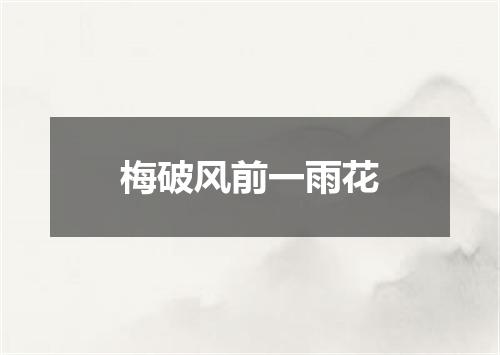 梅破风前一雨花