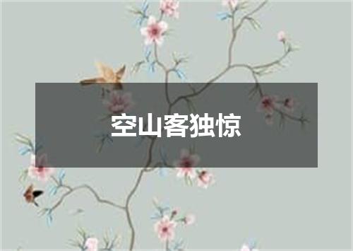 空山客独惊