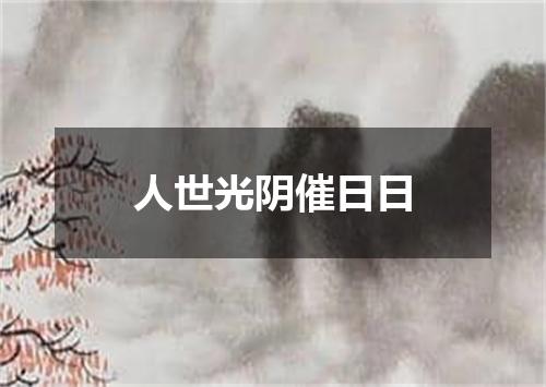人世光阴催日日